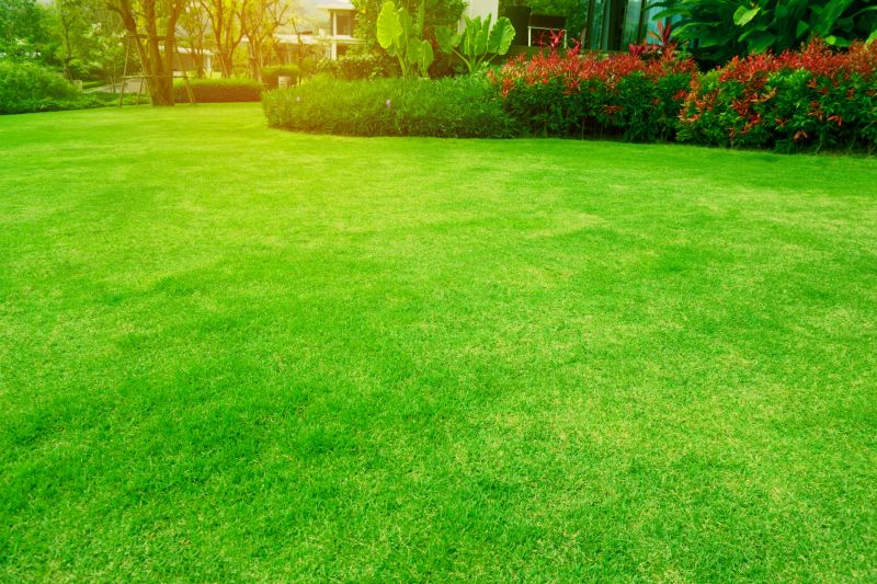 Lawn Mowing and Trimming