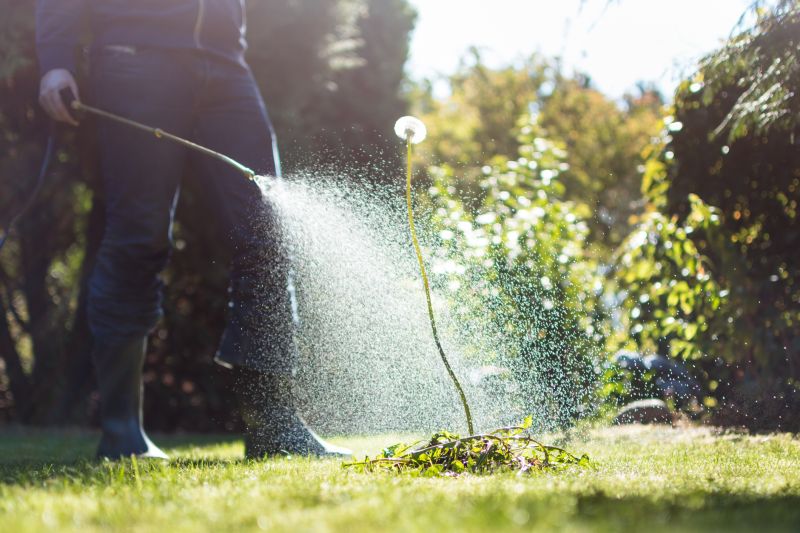 Products For Garden Maintenances in use