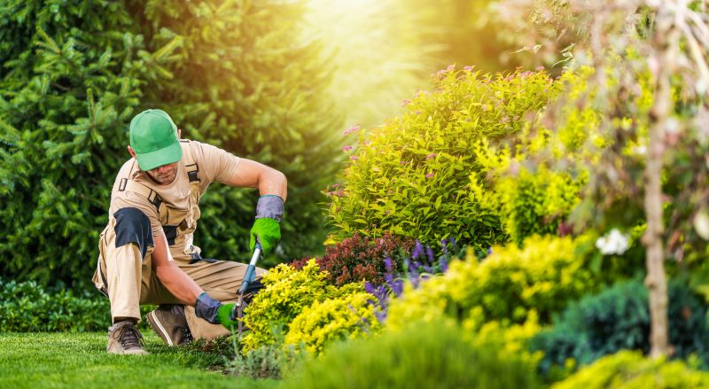 Garden Maintenance Contractors